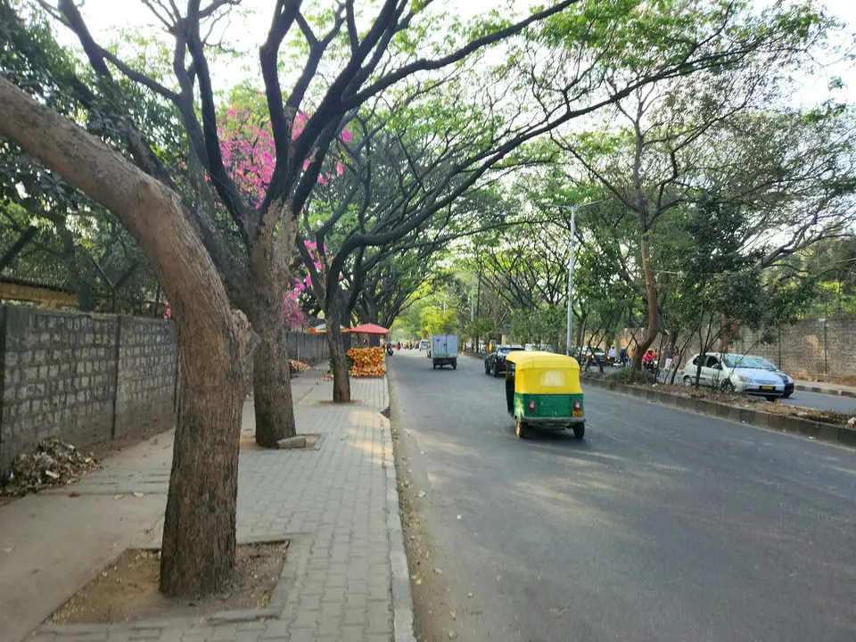 A tree-lined road in East Bengaluru with an autorickshaw